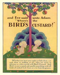 Vintage Metal Sign - Retro Advertising - Birds Custard, Adam & Eve -  - That Home Shop - thumbnail 1