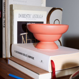Bobble Bowl Coral - thumbnail 3