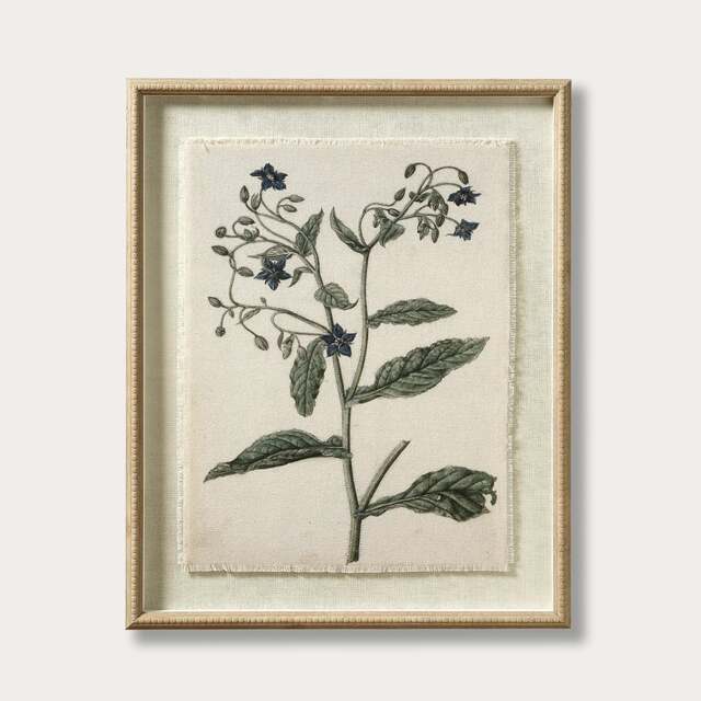 Flora & Fauna Borage Linen Print - Wall Art - The Cotswold Company - image 1
