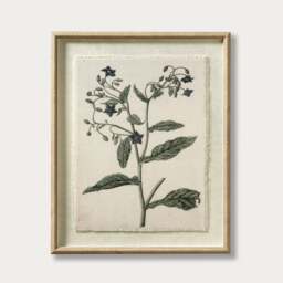 Flora & Fauna Borage Linen Print - Wall Art - The Cotswold Company - thumbnail 1