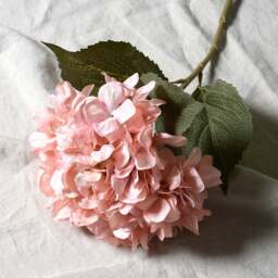Antique Blush Pink Giant Hydrangea - Faux Flower Stem - The Cotswold Company - thumbnail 2