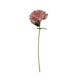 Antique Blush Pink Giant Hydrangea - Faux Flower Stem - The Cotswold Company - thumbnail 4