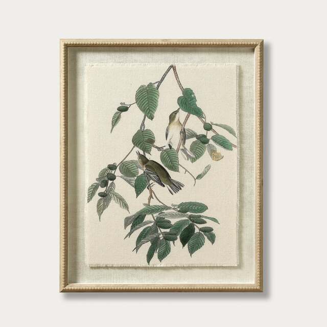 Flora & Fauna Warblers Linen Print - Wall Art - The Cotswold Company - image 1