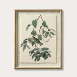 Flora and Fauna Warblers Linen Print - Wall Art - The Cotswold Company