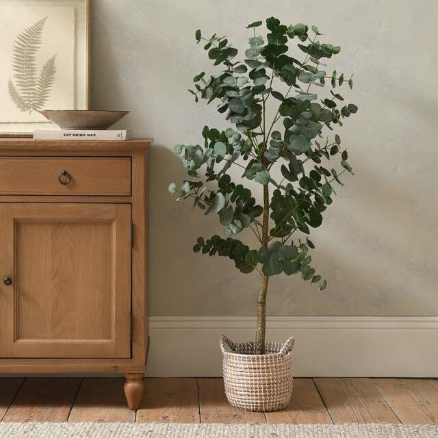 Large Eucalyptus Tree In Pot - Faux Potted Plant - The Cotswold Company - image 1