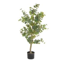 Large Eucalyptus Tree In Pot - Faux Potted Plant - The Cotswold Company - thumbnail 2