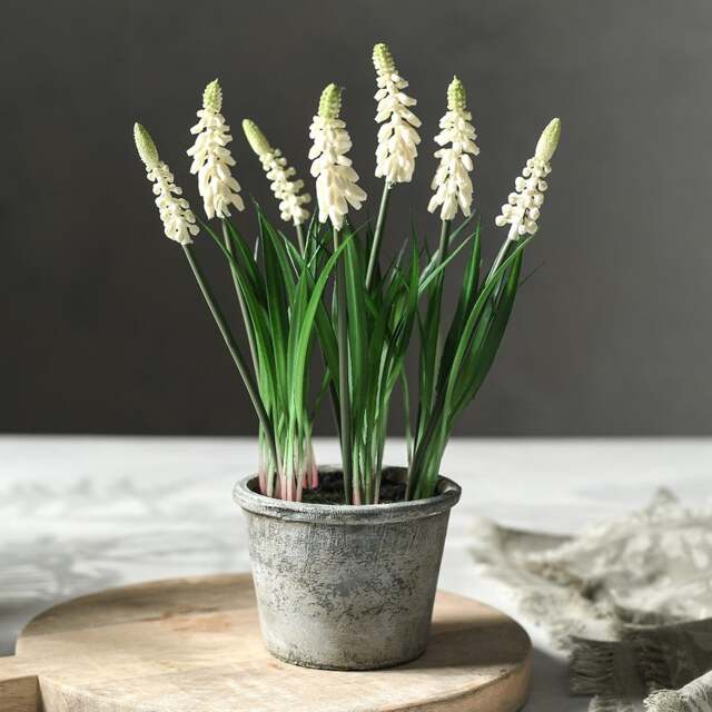 Faux Potted Plant White Grape Hyacinth - The Cotswold Company - image 1