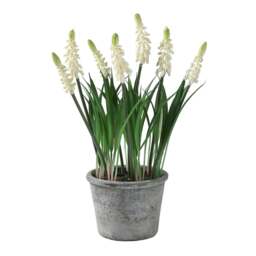Faux Potted Plant White Grape Hyacinth - The Cotswold Company - thumbnail 3