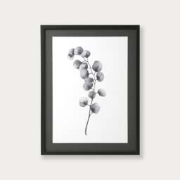 Lynsey Dorman Botanical Study I Large (63.5x83.5cm) - Wall Art - The Cotswold Company - thumbnail 1