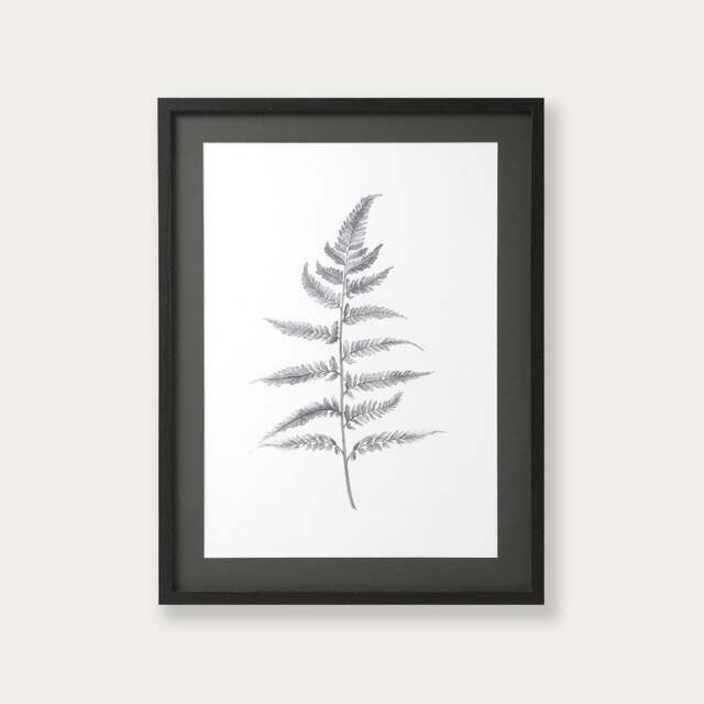 Wall Art Lynsey Dorman Botanical Study Iv Large (63.5x83.5cm) - The Cotswold Company - image 1
