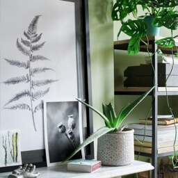Wall Art Lynsey Dorman Botanical Study Iv Large (63.5x83.5cm) - The Cotswold Company - thumbnail 5