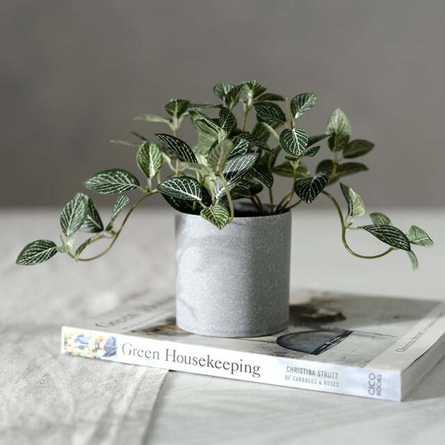 Faux Potted Plant Potted Fittonia Plant - The Cotswold Company - image 1