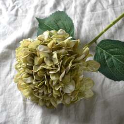 Faux Flower Stem Antique Green Giant Hydrangea - The Cotswold Company - thumbnail 2