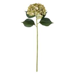 Faux Flower Stem Antique Green Giant Hydrangea - The Cotswold Company - thumbnail 3