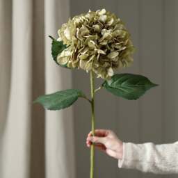 Faux Flower Stem Antique Green Giant Hydrangea - The Cotswold Company