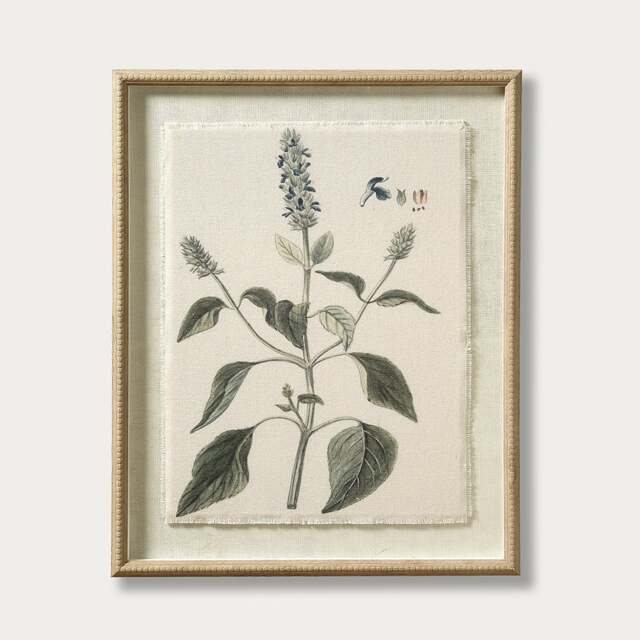 Flora and Fauna Salvia Linen Print - Wall Art - The Cotswold Company - image 1