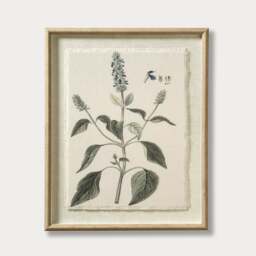 Flora and Fauna Salvia Linen Print - Wall Art - The Cotswold Company