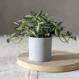 Faux Potted Plant Zebrina Plant - The Cotswold Company - thumbnail 1