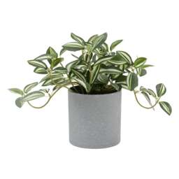 Faux Potted Plant Zebrina Plant - The Cotswold Company - thumbnail 2