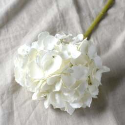 White Short Hydrangea - Faux Flower Stem - The Cotswold Company - thumbnail 2
