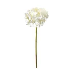 White Short Hydrangea - Faux Flower Stem - The Cotswold Company - thumbnail 3