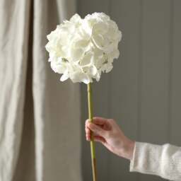 White Short Hydrangea - Faux Flower Stem - The Cotswold Company - thumbnail 1