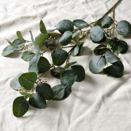 Eucalyptus Spray With Berries - Faux Flower Stem - The Cotswold Company
