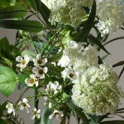 Faux Flower Arrangement White Lilac and Queen Anne Lace - The Cotswold Company - thumbnail 2