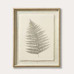 Botanical Fern Leaf - Wall Art - The Cotswold Company