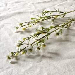 Faux Flower Stem Wax Flower Spray White - The Cotswold Company - thumbnail 1