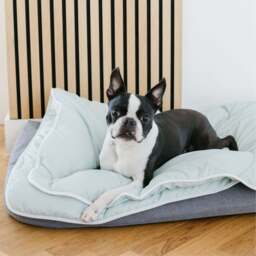 Night Lark®  Mini Duvet - thumbnail 3