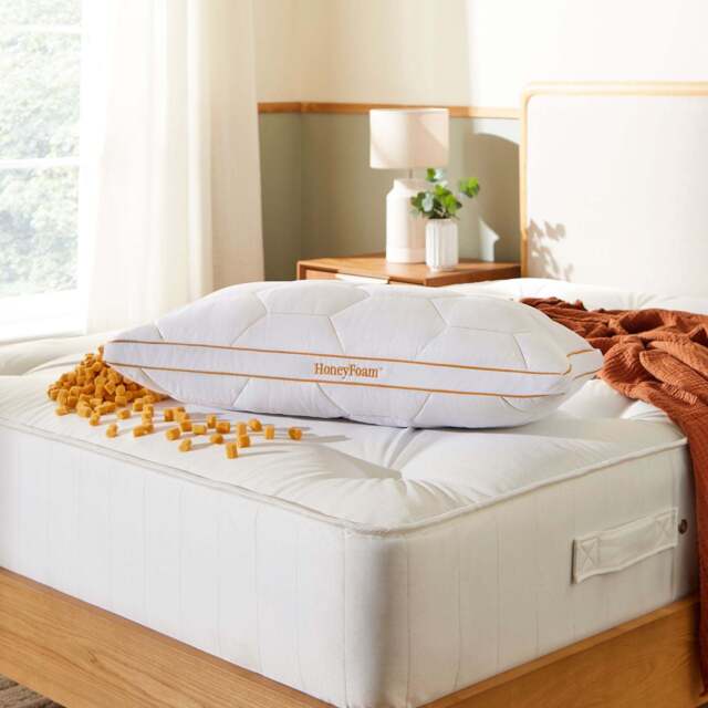 The Adjustable HoneyFoam™ Pillow Replacement Cover - image 1
