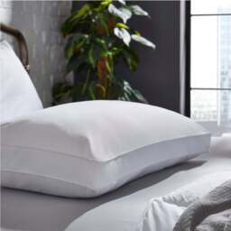 The Back Sleeper Pillow