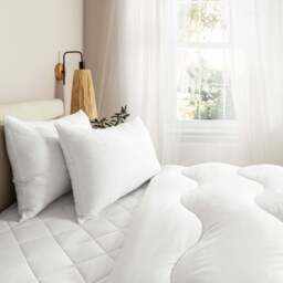 Breathe® Cotton-Covered Pillow