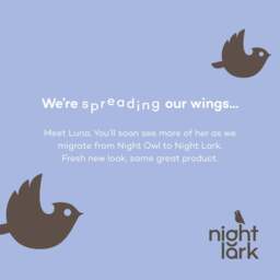 Night Lark®  Natural 100% Cotton Waffle Pair of Pillowcases - White - thumbnail 4