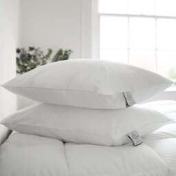 Clusterfull Pillow Pair - Medium Support