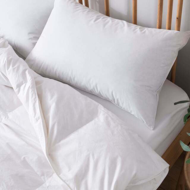 Goose Down Surround Pillow - image 1