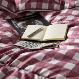 Night Lark® Gingham Burgundy Coverless Duvet Set - thumbnail 5