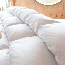 Goose Down Duvet