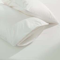 Cotton Pillow Protector Pair with Zip Finish