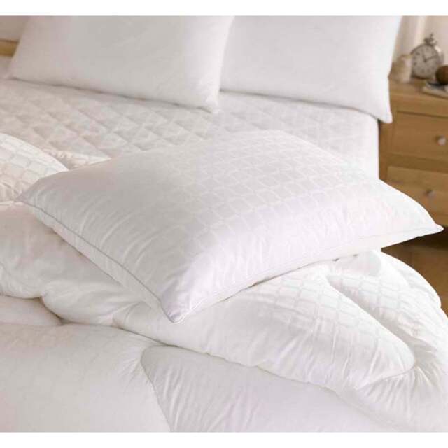 Richmond Boutique Silk Pillow - image 1