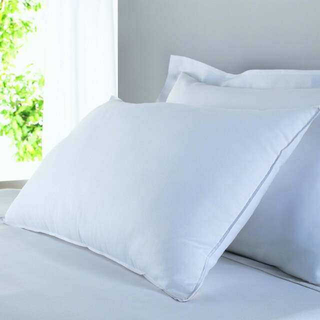 Skipton Spun Down Pillow Collection - image 1