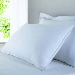 Skipton Spun Down Pillow Collection