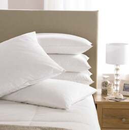 Microfibre Pillow Collection - thumbnail 2