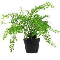 Artificial Potted Fern Plant in Black Pot - Maiden Fern