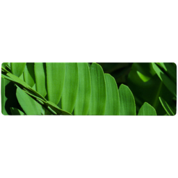 Natural dark green leaves, long slender green leaves Designer Runner Rug - Green - thumbnail 2