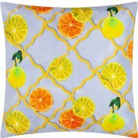 Citrus Trellis Outdoor Cushion Cover - Blue