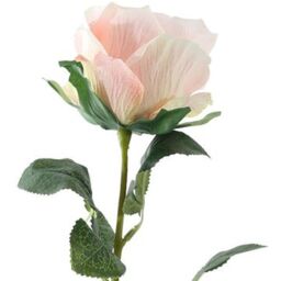 Single Stem Silk Garden Rose - H35cm - Pale Pink - thumbnail 3