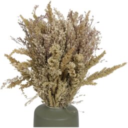 Natural Grass in a Ceramic Vase - Natural - thumbnail 3