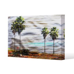 'Gold S and G Palm' Graphic Art Wrapped on Canvas - Green / 152cm - thumbnail 2
